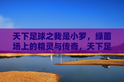 天下足球之我是小罗，绿茵场上的精灵与传奇，天下足球之我是小罗，绿茵场上的精灵与传奇