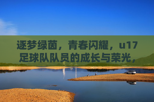 逐梦绿茵，青春闪耀，u17足球队队员的成长与荣光，逐梦绿茵，青春闪耀，u17足球队队员的成长与荣光