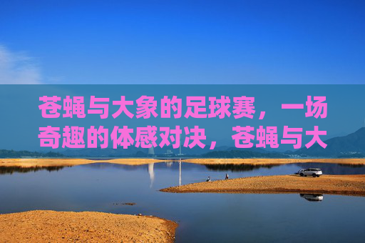 苍蝇与大象的足球赛,一场奇趣的体感对决,苍蝇与大象的足球赛,一场奇趣的体感对决