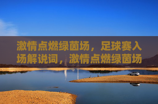 激情点燃绿茵场，足球赛入场解说词，激情点燃绿茵场，足球赛入场解说词