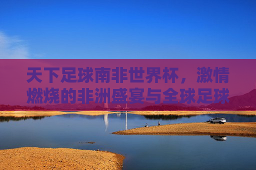 天下足球南非世界杯，激情燃烧的非洲盛宴与全球足球的共鸣，天下足球，南非世界杯的非洲激情与全球足球共鸣