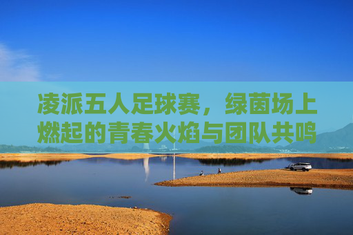 凌派五人足球赛,绿茵场上燃起的青春火焰与团队共鸣,凌派五人足球赛,绿茵场上燃起的青春火焰与团队共鸣