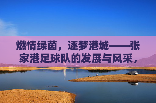 燃情绿茵，逐梦港城——张家港足球队的发展与风采，燃情绿茵，逐梦港城——张家港足球队的发展与风采