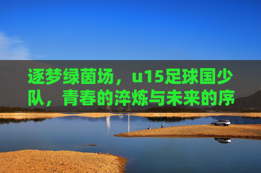 逐梦绿茵场，u15足球国少队，青春的淬炼与未来的序章，逐梦绿茵场，u15足球国少队的青春淬炼与未来序章