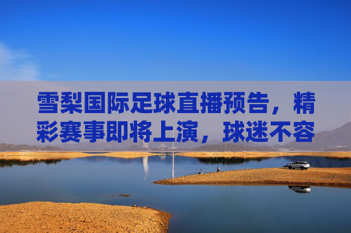 雪梨国际足球直播预告，精彩赛事即将上演，球迷不容错过，雪梨国际足球直播预告，精彩赛事即将上演，球迷不容错过