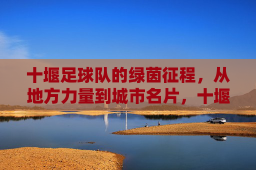 十堰足球队的绿茵征程，从地方力量到城市名片，十堰足球队，从地方力量到城市名片的绿茵征程