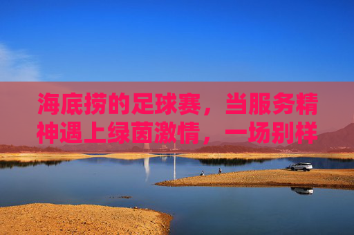 海底捞的足球赛，当服务精神遇上绿茵激情，一场别样的团队盛宴，海底捞的足球赛，服务精神与绿茵激情碰撞的别样团队盛宴