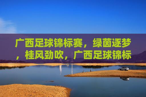 广西足球锦标赛，绿茵逐梦，桂风劲吹，广西足球锦标赛，绿茵逐梦，桂风劲吹