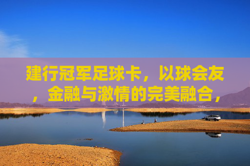 建行冠军足球卡，以球会友，金融与激情的完美融合，建行冠军足球卡，以球会友，金融与激情的完美融合