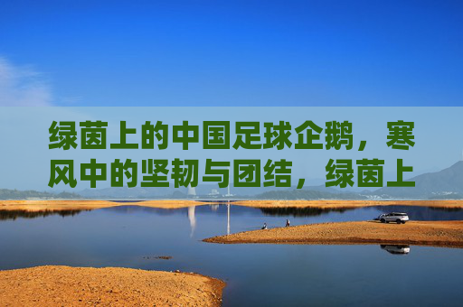 绿茵上的中国足球企鹅，寒风中的坚韧与团结，绿茵上的中国足球企鹅，寒风中的坚韧与团结