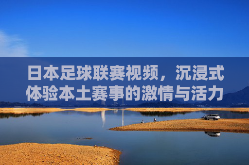 日本足球联赛视频，沉浸式体验本土赛事的激情与活力，日本足球联赛视频，沉浸式感受本土赛事的激情与活力