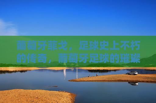 葡萄牙菲戈，足球史上不朽的传奇，葡萄牙足球的璀璨明珠，葡萄牙菲戈，足球史上不朽的传奇，葡萄牙足球的璀璨明珠