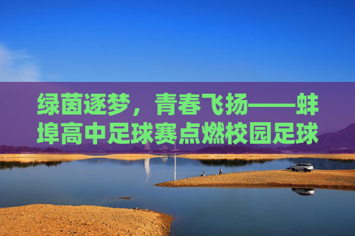 绿茵逐梦，青春飞扬——蚌埠高中足球赛点燃校园足球热情，绿茵逐梦，青春飞扬——蚌埠高中足球赛点燃校园足球热情