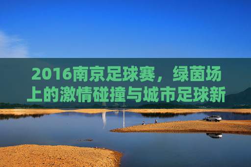 2016南京足球赛，绿茵场上的激情碰撞与城市足球新篇，2016南京足球赛，绿茵激情碰撞，书写城市足球新篇