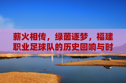 薪火相传，绿茵逐梦，福建职业足球队的历史回响与时代新篇，薪火相传，绿茵逐梦，福建职业足球队的历史回响与时代新篇