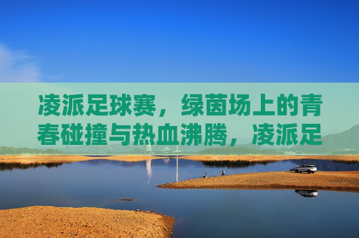 凌派足球赛，绿茵场上的青春碰撞与热血沸腾，凌派足球赛，绿茵场上的青春碰撞与热血沸腾