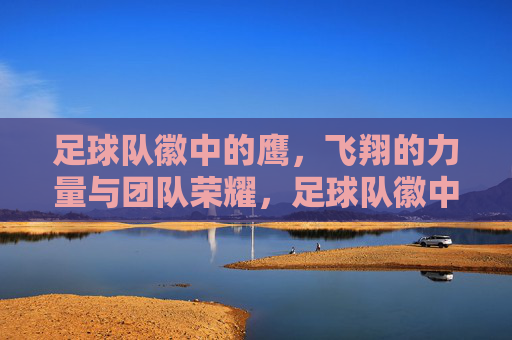足球队徽中的鹰，飞翔的力量与团队荣耀，足球队徽中的鹰，飞翔的力量与团队荣耀