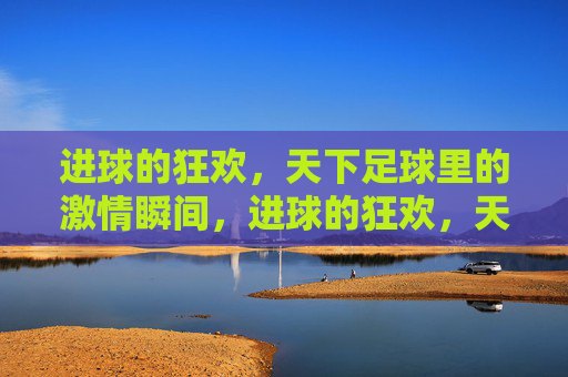 进球的狂欢，天下足球里的激情瞬间，进球的狂欢，天下足球里的激情瞬间