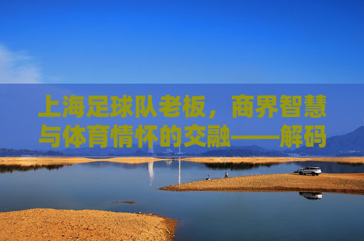 上海足球队老板,商界智慧与体育情怀的交融——解码申花队背后的领航者,上海足球队老板,商界智慧与体育情怀的交融——解码申花队背后的领航者