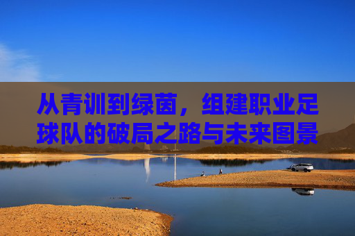 从青训到绿茵，组建职业足球队的破局之路与未来图景，从青训到绿茵，职业足球队破局之路与未来图景