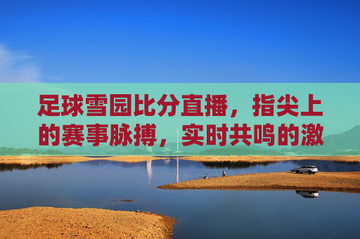 足球雪园比分直播，指尖上的赛事脉搏，实时共鸣的激情引擎，足球雪园比分直播，指尖上的赛事脉搏，实时共鸣的激情引擎