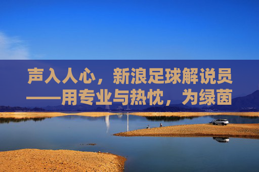 声入人心,新浪足球解说员——用专业与热忱,为绿茵场上的每一次心跳加冕,声入人心,新浪足球解说员,以专业与热忱,为绿茵场每一次心跳加冕