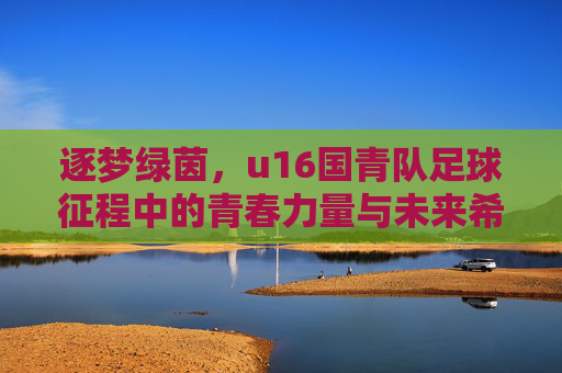 逐梦绿茵，u16国青队足球征程中的青春力量与未来希望，逐梦绿茵，u16国青队足球征程中的青春力量与未来希望
