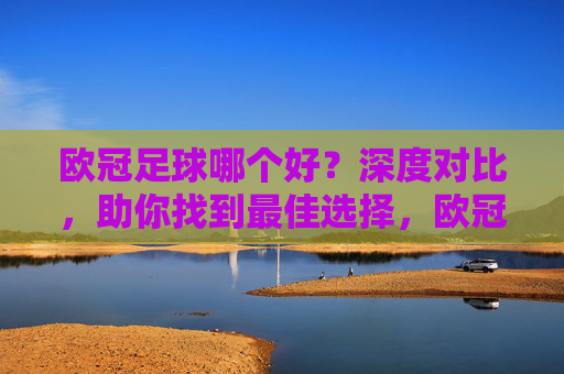 欧冠足球哪个好？深度对比，助你找到最佳选择，欧冠足球哪个好？深度对比，助你找到最佳选择