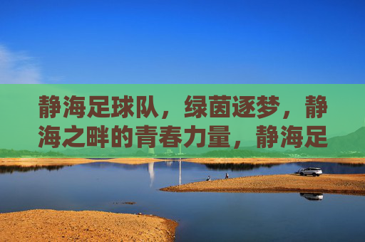 静海足球队，绿茵逐梦，静海之畔的青春力量，静海足球队，绿茵逐梦，静海之畔的青春力量