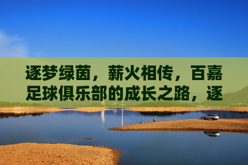 逐梦绿茵，薪火相传，百嘉足球俱乐部的成长之路，逐梦绿茵，薪火相传，百嘉足球俱乐部的成长之路