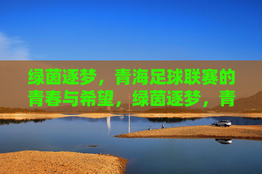 绿茵逐梦,青海足球联赛的青春与希望,绿茵逐梦,青海足球联赛的青春与希望