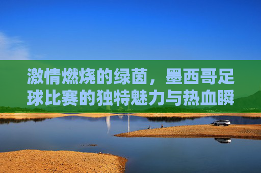 激情燃烧的绿茵，墨西哥足球比赛的独特魅力与热血瞬间，激情燃烧的绿茵，墨西哥足球的独特魅力与热血瞬间
