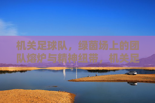 机关足球队，绿茵场上的团队熔炉与精神纽带，机关足球队，绿茵场上的团队熔炉与精神纽带
