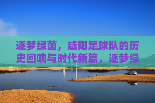 逐梦绿茵，咸阳足球队的历史回响与时代新篇，逐梦绿茵，咸阳足球队的历史回响与时代新篇