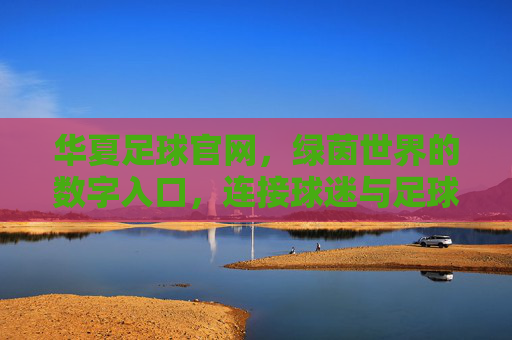 华夏足球官网,绿茵世界的数字入口,连接球迷与足球文化的桥梁,华夏足球官网,绿茵世界的数字入口,连接球迷与足球文化的桥梁
