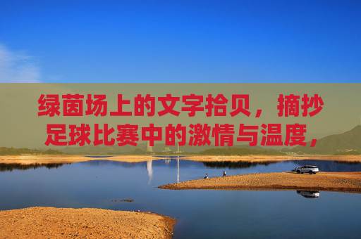 绿茵场上的文字拾贝,摘抄足球比赛中的激情与温度,绿茵场上的文字拾贝,摘抄足球比赛中的激情与温度