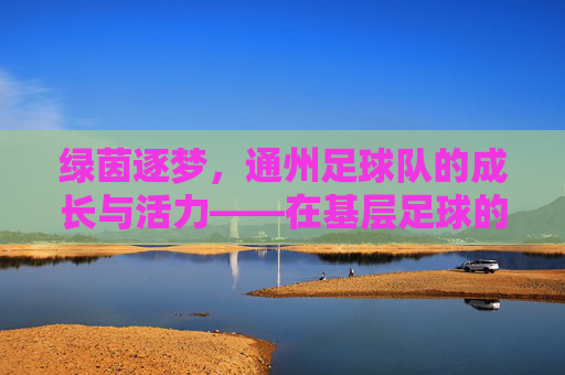 绿茵逐梦，通州足球队的成长与活力——在基层足球的土壤中绽放青春，绿茵逐梦，通州足球队的成长与活力——在基层足球的土壤中绽放青春