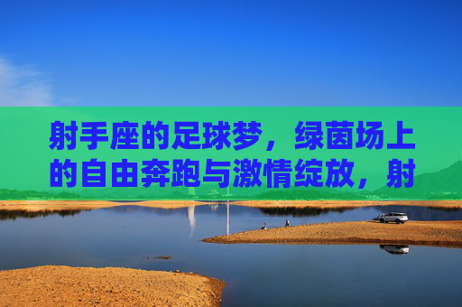射手座的足球梦,绿茵场上的自由奔跑与激情绽放,射手座的足球梦,绿茵场上的自由奔跑与激情绽放
