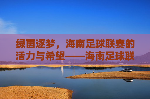 绿茵逐梦，海南足球联赛的活力与希望——海南足球联赛发展现状与未来展望，绿茵逐梦，海南足球联赛的活力与希望——海南足球联赛发展现状与未来展望