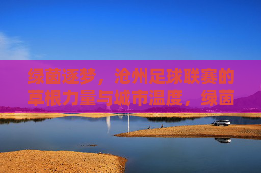 绿茵逐梦,沧州足球联赛的草根力量与城市温度,绿茵逐梦,沧州足球联赛的草根力量与城市温度