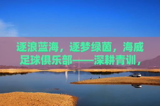 逐浪蓝海，逐梦绿茵，海威足球俱乐部——深耕青训，铸就足球新希望，逐浪蓝海，逐梦绿茵，海威足球俱乐部——深耕青训，铸就足球新希望