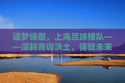 逐梦绿茵,上海足球梯队——深耕青训沃土,铸就未来希望