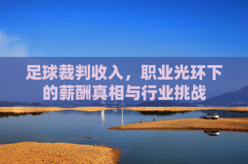 足球裁判收入,职业光环下的薪酬真相与行业挑战