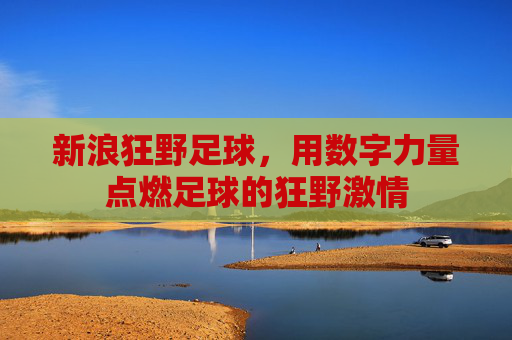 新浪狂野足球，用数字力量点燃足球的狂野激情