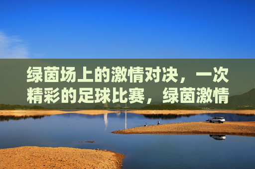 绿茵场上的激情对决，一次精彩的足球比赛，绿茵激情，一场酣畅淋漓的足球对决
