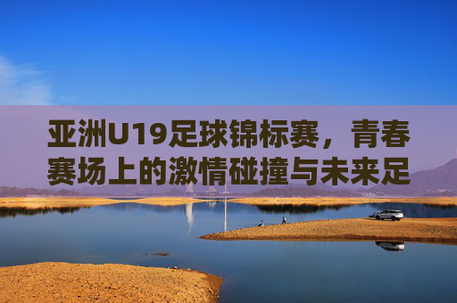 亚洲U19足球锦标赛,青春赛场上的激情碰撞与未来足球之光,亚洲U19足球锦标赛,青春赛场上的激情碰撞与未来足球之光