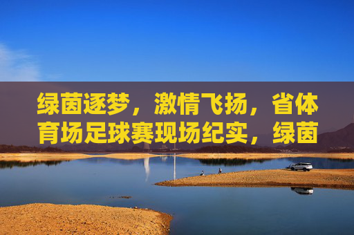 绿茵逐梦,激情飞扬,省体育场足球赛现场纪实,绿茵逐梦,激情飞扬,省体育场足球赛现场纪实