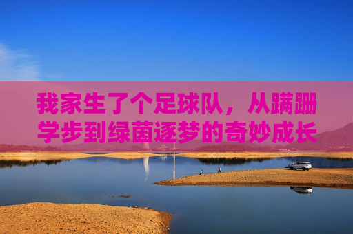 我家生了个足球队，从蹒跚学步到绿茵逐梦的奇妙成长，我家生了个足球队，从蹒跚学步到绿茵逐梦的奇妙成长