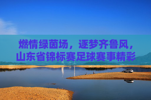 燃情绿茵场，逐梦齐鲁风，山东省锦标赛足球赛事精彩回眸与精神传承