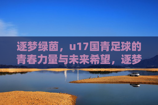 逐梦绿茵，u17国青足球的青春力量与未来希望，逐梦绿茵，u17国青足球的青春力量与未来希望
